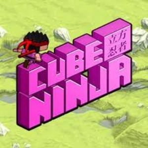 Cube Ninja - Free Parkour Games